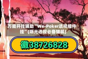 万能开挂辅助“We-Poker透视插件挂”(曝光透视必备猫腻)
