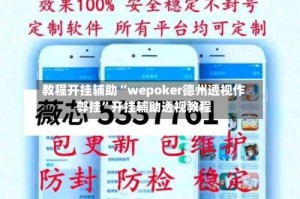 教程开挂辅助“wepoker德州透视作弊挂”开挂辅助透视教程