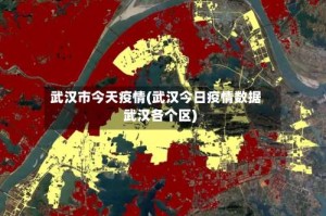 武汉市今天疫情(武汉今日疫情数据武汉各个区)