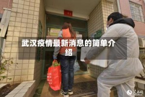 武汉疫情最新消息的简单介绍