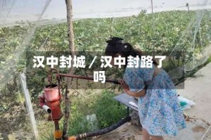 汉中封城／汉中封路了吗