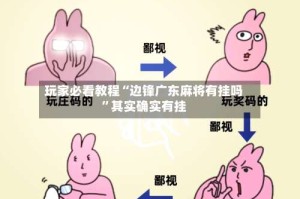 玩家必看教程“边锋广东麻将有挂吗”其实确实有挂