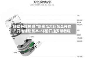 辅助开挂神器“新蜜瓜大厅怎么开挂”开挂辅助脚本+详细开挂安装教程