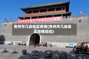 青州市几类地区疫情(青州市几类地区疫情防控)
