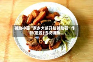 辅助神器“家乡大贰开挂辅助器”作弊(透视)透视辅助