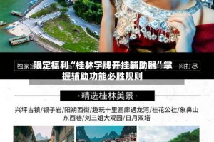 限定福利“桂林字牌开挂辅助器”掌握辅助功能必胜规则