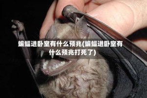 蝙蝠进卧室有什么预兆(蝙蝠进卧室有什么预兆打死了)