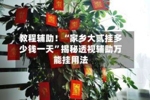 教程辅助！“家乡大贰挂多少钱一天”揭秘透视辅助万能挂用法