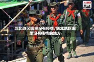 缅北地区哪里没有疫情/缅北地区哪里没有疫情的地方