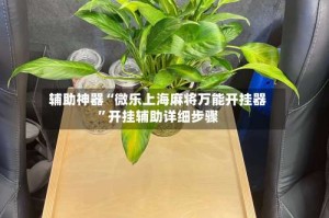 辅助神器“微乐上海麻将万能开挂器”开挂辅助详细步骤