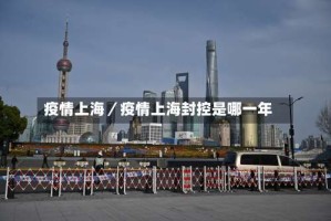 疫情上海／疫情上海封控是哪一年