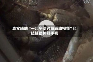 真实辅助“一起宁德钓蟹辅助视频”科技辅助神器手机