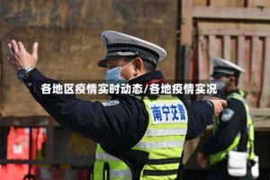 各地区疫情实时动态/各地疫情实况