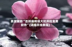 真实辅助“吉祥麻将填大坑开挂免费软件”(详细开挂教程)