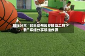 教程分享“智星德州菠萝辅助工具下载”详细分享装挂步骤