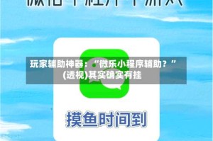 玩家辅助神器：“微乐小程序辅助？”(透视)其实确实有挂