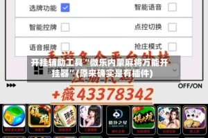 开挂辅助工具“微乐内蒙麻将万能开挂器”(原来确实是有插件)