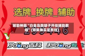 辅助神器“白金岛跑胡子开挂辅助教程”(原来确实是有挂)