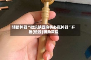 辅助神器“微乐陕西麻将必赢神器”开挂(透视)辅助教程