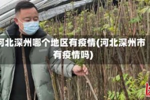河北深州哪个地区有疫情(河北深州市有疫情吗)