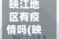 映江地区有疫情吗(映江苑是哪里)