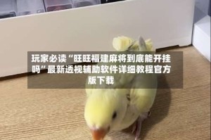 玩家必读“旺旺福建麻将到底能开挂吗”最新透视辅助软件详细教程官方版下载