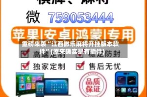 重磅来袭“江西微乐麻将开挂版本软件”(原来确实是有插件)