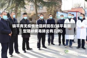 镇平有无疫情地区吗现在(镇平县新型冠状病毒肺炎有几例)