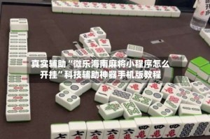 真实辅助“微乐海南麻将小程序怎么开挂”科技辅助神器手机版教程