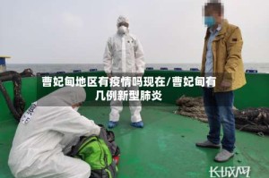 曹妃甸地区有疫情吗现在/曹妃甸有几例新型肺炎