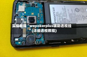 实操教程“wepokerplus辅助透视挂”(详细透视教程)