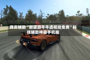 真实辅助“新道游牛牛透视挂免费”科技辅助神器手机版
