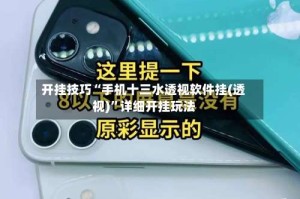 开挂技巧“手机十三水透视软件挂(透视)”详细开挂玩法