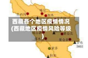 西藏各个地区疫情情况(西藏地区疫情风险等级)