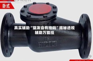 真实辅助“旋友会有挂吗”揭秘透视辅助万能挂