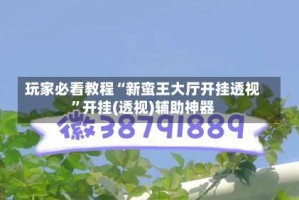 玩家必看教程“新蛮王大厅开挂透视”开挂(透视)辅助神器