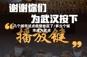 几个城市试点疫情地区了/多少个城市成为试点