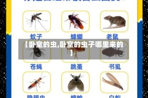 【卧室的虫,卧室的虫子哪里来的】
