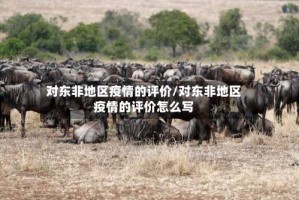 对东非地区疫情的评价/对东非地区疫情的评价怎么写