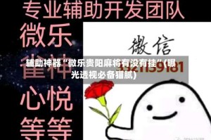 辅助神器“微乐贵阳麻将有没有挂”(曝光透视必备猫腻)