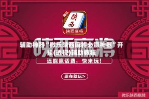 辅助神器“微乐陕西麻将必赢神器”开挂(透视)辅助教程