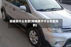 骊威是什么车型(骊威属于什么车型类别)