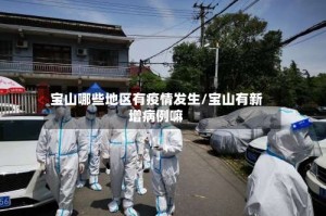 宝山哪些地区有疫情发生/宝山有新增病例嘛