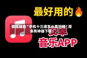 教程辅助“手机十三道怎么要好牌”原来有神器下载！