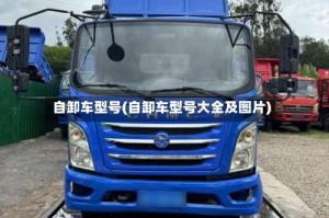 自卸车型号(自卸车型号大全及图片)