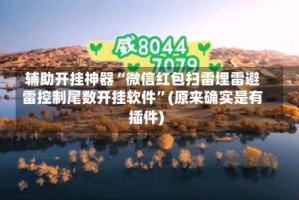 辅助开挂神器“微信红包扫雷埋雷避雷控制尾数开挂软件”(原来确实是有插件)