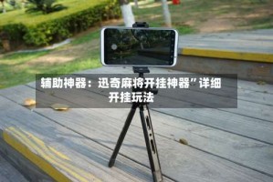 辅助神器：迅奇麻将开挂神器”详细开挂玩法