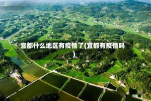 宜都什么地区有疫情了(宜都有疫情吗)