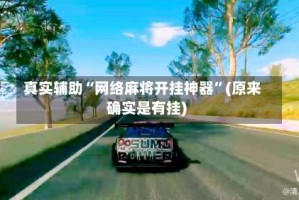 真实辅助“网络麻将开挂神器”(原来确实是有挂)