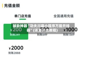 辅助神器“功夫川麻小程序万能开挂器”(详细开挂教程)